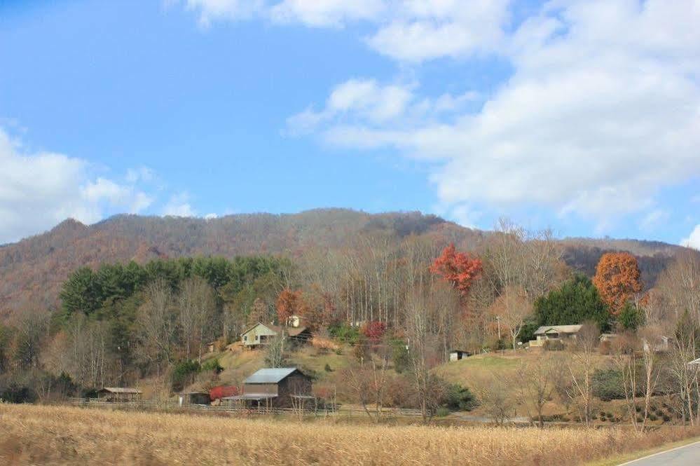 The Yellow House On Plott Creek เวย์นวิลล์ ภายนอก รูปภาพ