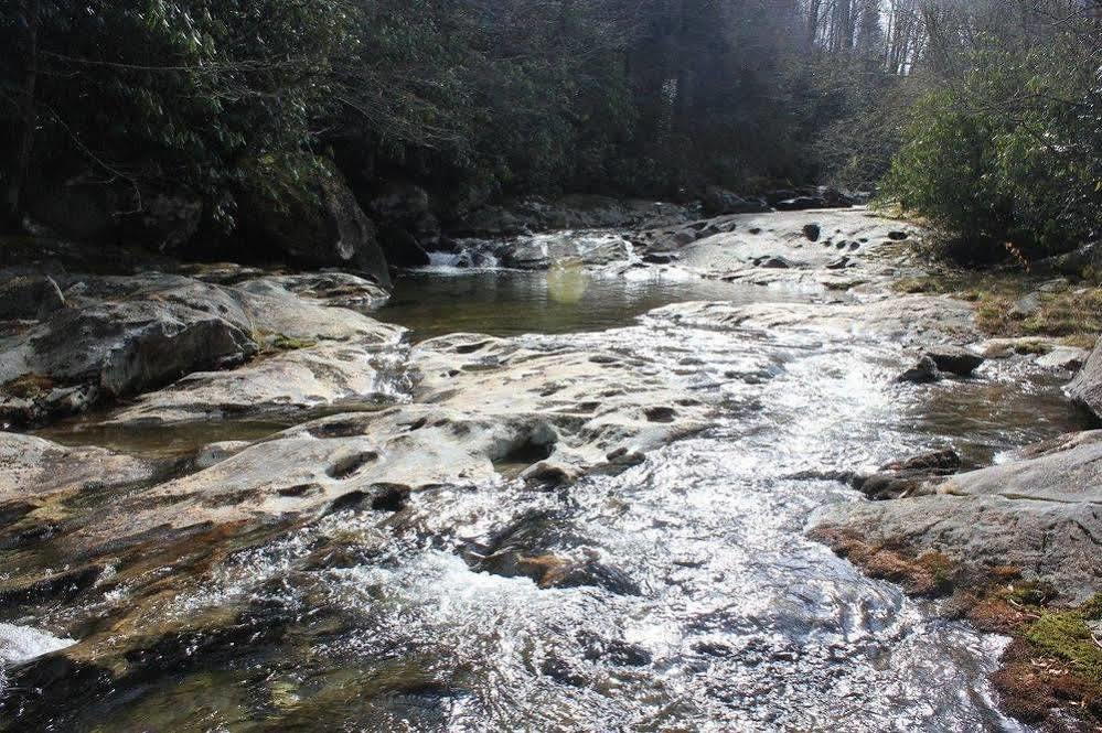 The Yellow House On Plott Creek เวย์นวิลล์ ภายนอก รูปภาพ